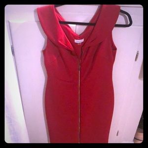 Calvin Klein Dress